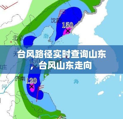 台风路径实时查询山东,台风山东走向
