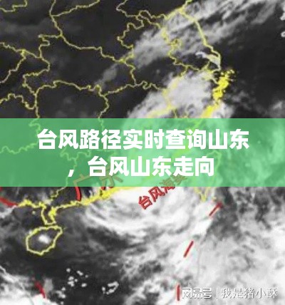 台风路径实时查询山东,台风山东走向