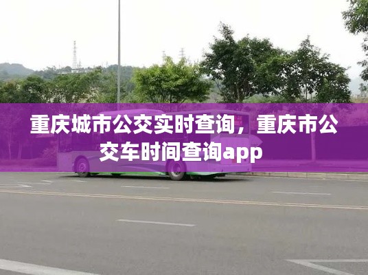 重庆城市公交实时查询,重庆市公交车时间查询app