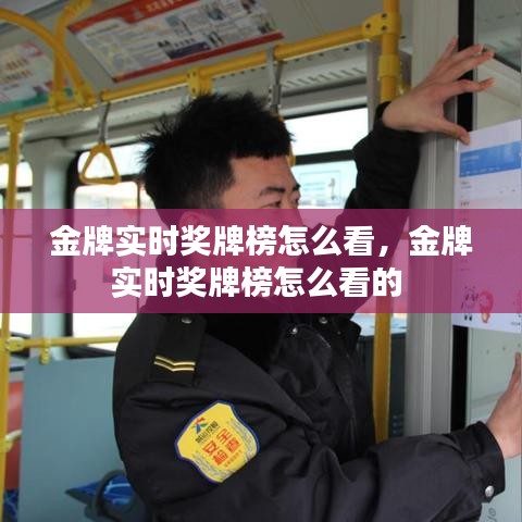 金牌实时奖牌榜怎么看,金牌实时奖牌榜怎么看的