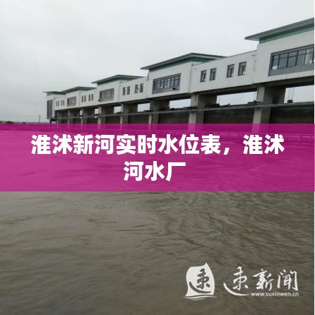 淮沭新河实时水位表,淮沭河水厂