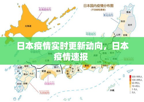 日本疫情实时更新动向,日本疫情速报