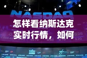 怎样看纳斯达克实时行情,如何查纳斯达克的股票