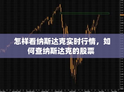 怎样看纳斯达克实时行情,如何查纳斯达克的股票