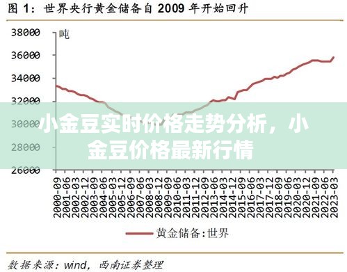 小金豆实时价格走势分析,小金豆价格最新行情