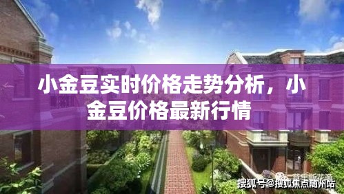 小金豆实时价格走势分析,小金豆价格最新行情