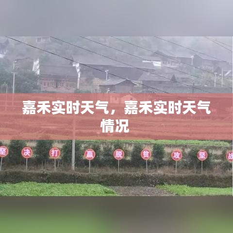 嘉禾实时天气,嘉禾实时天气情况