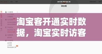 淘宝客开通实时数据,淘宝实时访客我的淘宝是什么意思