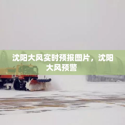 沈阳大风实时预报图片,沈阳大风预警