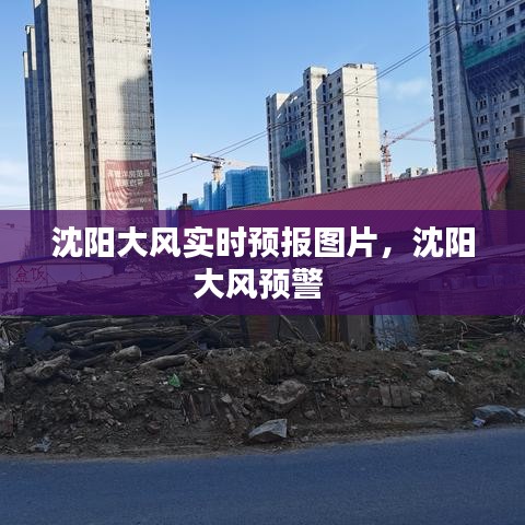 沈阳大风实时预报图片,沈阳大风预警