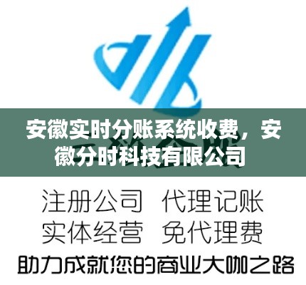 安徽实时分账系统收费,安徽分时科技有限公司