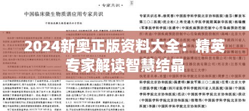 2024新奥正版资料大全:精英专家解读智慧结晶