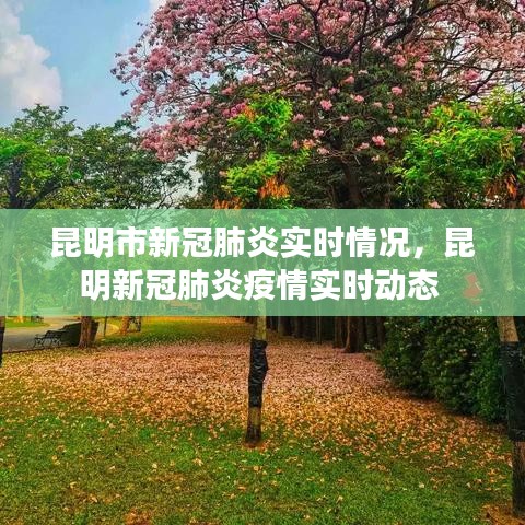 昆明市新冠肺炎实时情况,昆明新冠肺炎疫情实时动态
