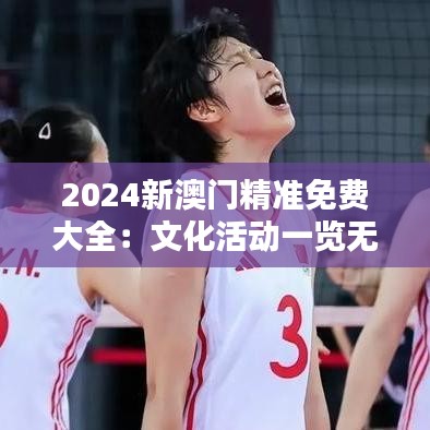 2024新澳门精准免费大全:文化活动一览无遗