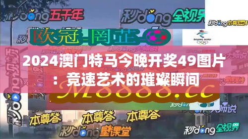 2024澳门特马今晚开奖49图片:竞速艺术的璀璨瞬间