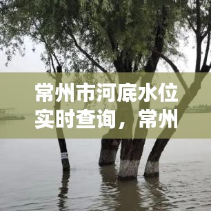 常州市河底水位实时查询,常州水库水位