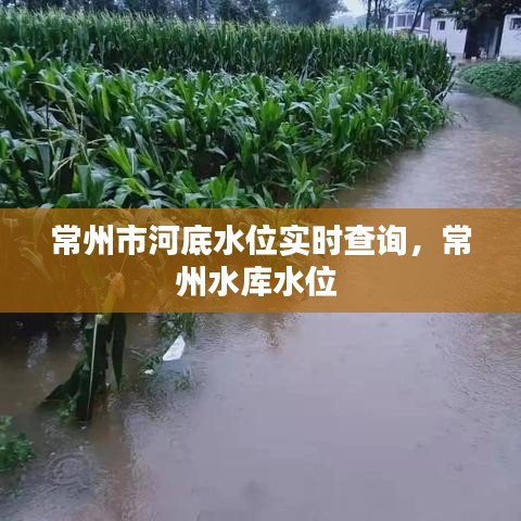 常州市河底水位实时查询,常州水库水位
