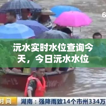 沅水实时水位查询今天,今日沅水水位公告