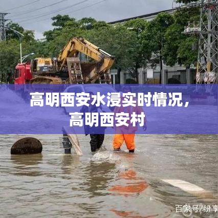 高明西安水浸实时情况,高明西安村