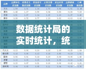 数据统计局的实时统计,统计局数据报告