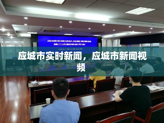 应城市实时新闻,应城市新闻视频