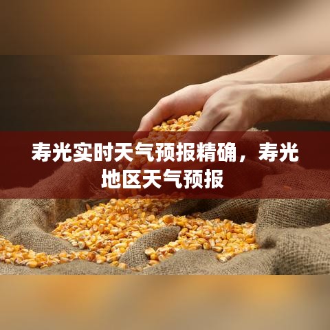 寿光实时天气预报精确,寿光地区天气预报