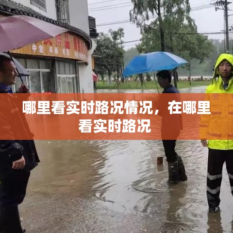 哪里看实时路况情况,在哪里看实时路况
