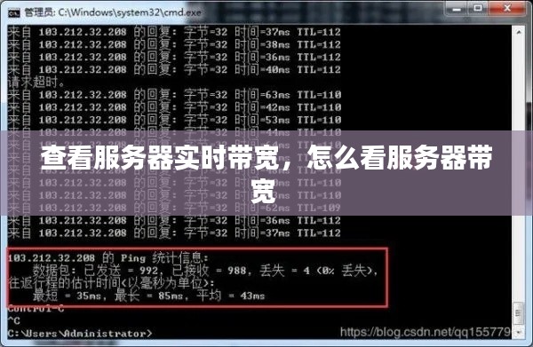 查看服务器实时带宽,怎么看服务器带宽
