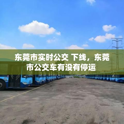 东莞市实时公交 下线,东莞市公交车有没有停运