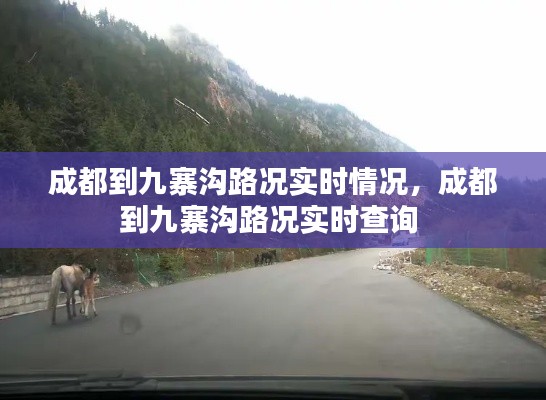 成都到九寨沟路况实时情况,成都到九寨沟路况实时查询