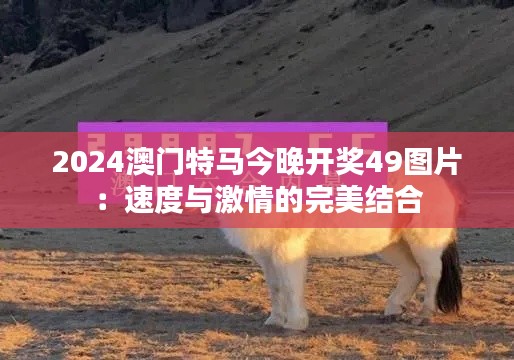 2024澳门特马今晚开奖49图片:速度与激情的完美结合