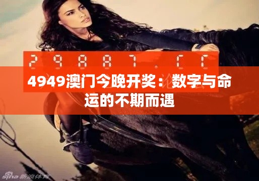 4949澳门今晚开奖:数字与命运的不期而遇