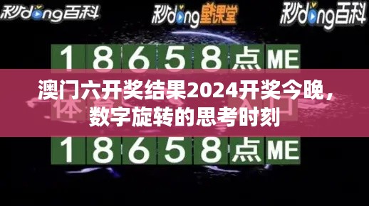 澳门六开奖结果2024开奖今晚,数字旋转的思考时刻