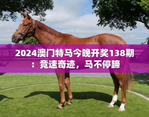 2024澳门特马今晚开奖138期:竞速奇迹,马不停蹄