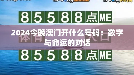 2024今晚澳门开什么号码:数字与命运的对话