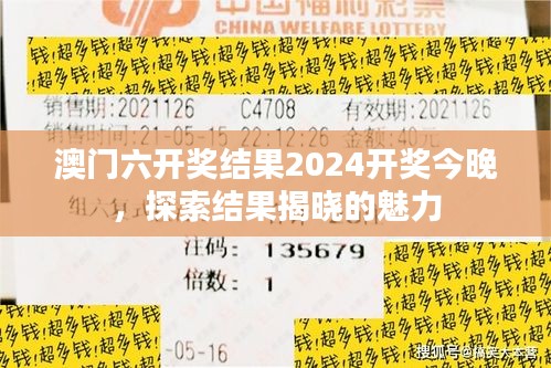 澳门六开奖结果2024开奖今晚,探索结果揭晓的魅力