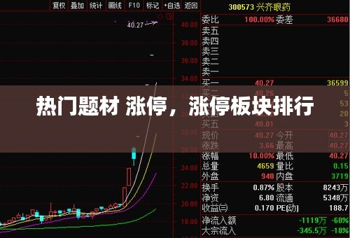 计日程功 第4页