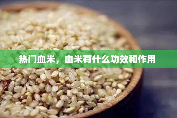热门血米,血米有什么功效和作用