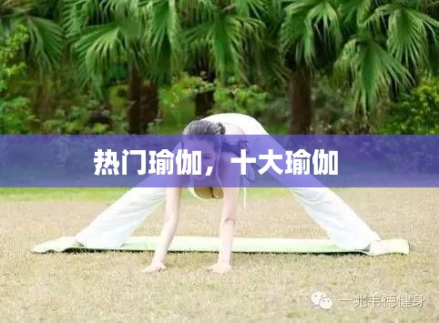 热门瑜伽,十大瑜伽