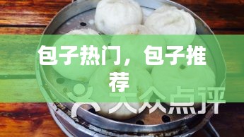 包子热门,包子推荐