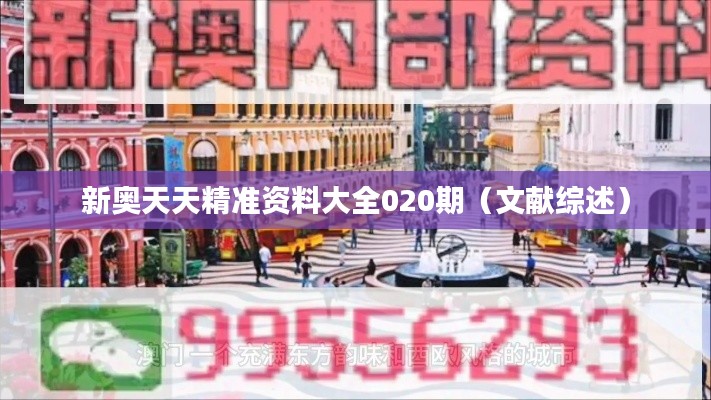 新奥天天精准资料大全020期(文献综述)