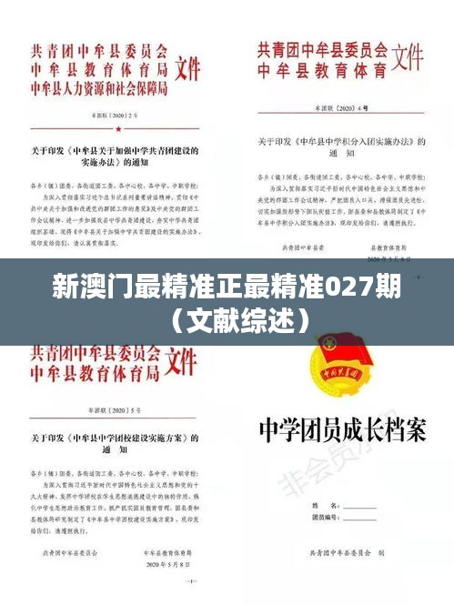 新澳门最精准正最精准027期(文献综述)
