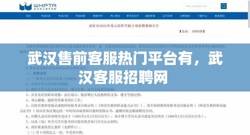 武汉售前客服热门平台有,武汉客服招聘网