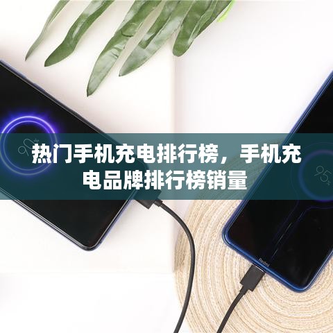 热门手机充电排行榜,手机充电品牌排行榜销量