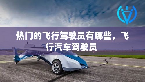 热门的飞行驾驶员有哪些,飞行汽车驾驶员