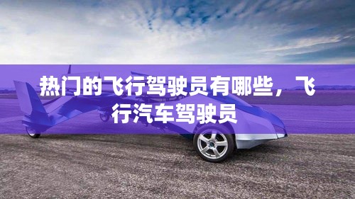 热门的飞行驾驶员有哪些,飞行汽车驾驶员