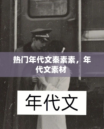 热门年代文秦素素,年代文素材