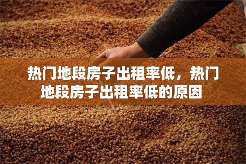 热门地段房子出租率低,热门地段房子出租率低的原因