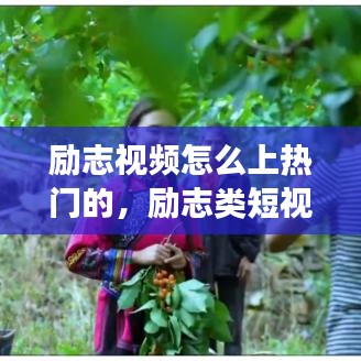 文质彬彬 第4页