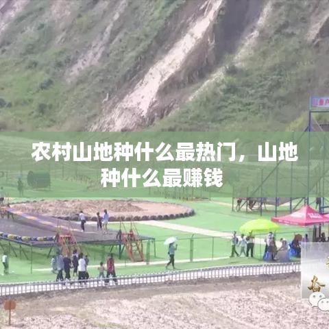 农村山地种什么最热门,山地种什么最赚钱